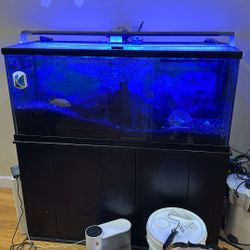 Fish Tanks! 