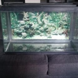 40 Gallon Fish Tank With Lid Price Is Firm Huge Sale Read Description