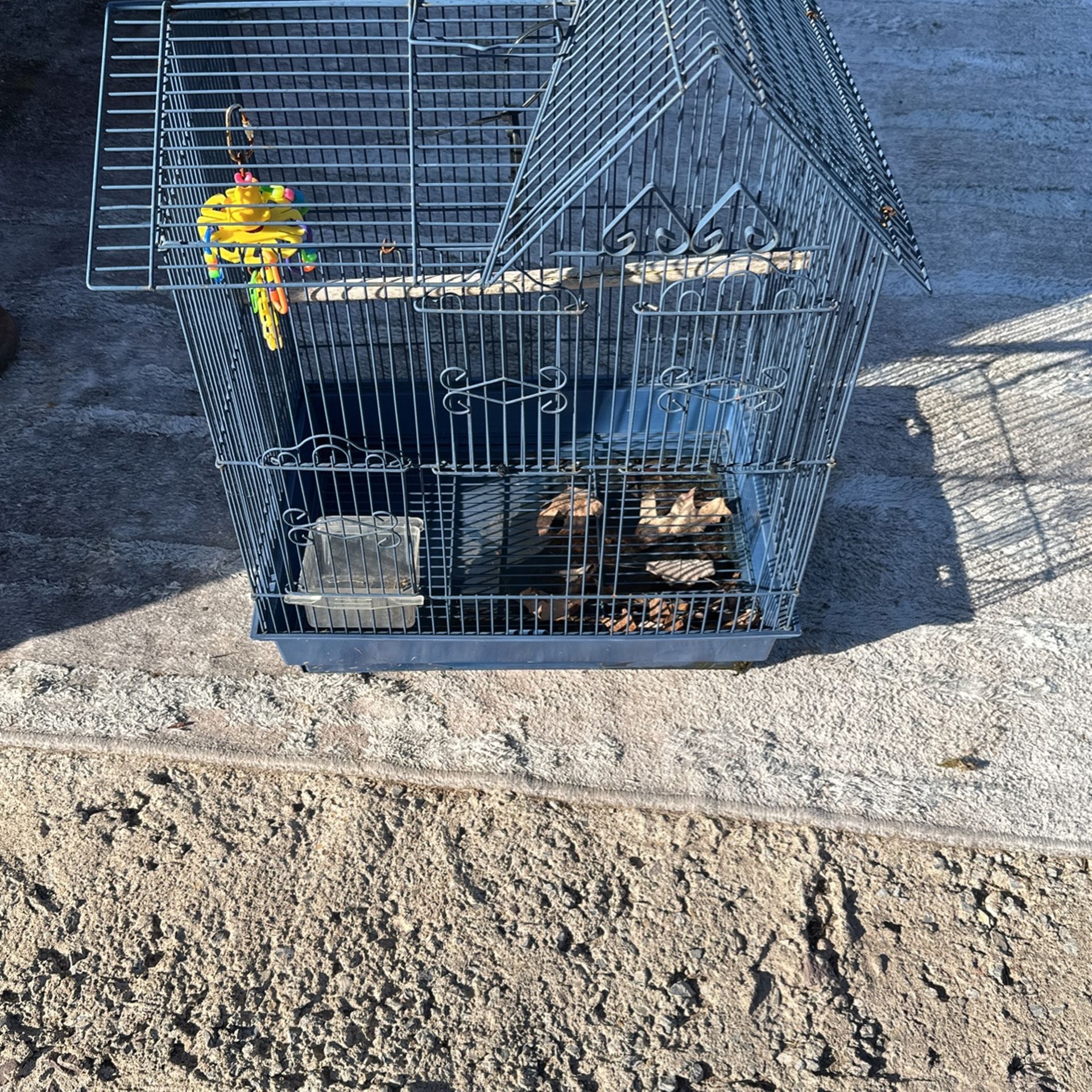 Bird Cage