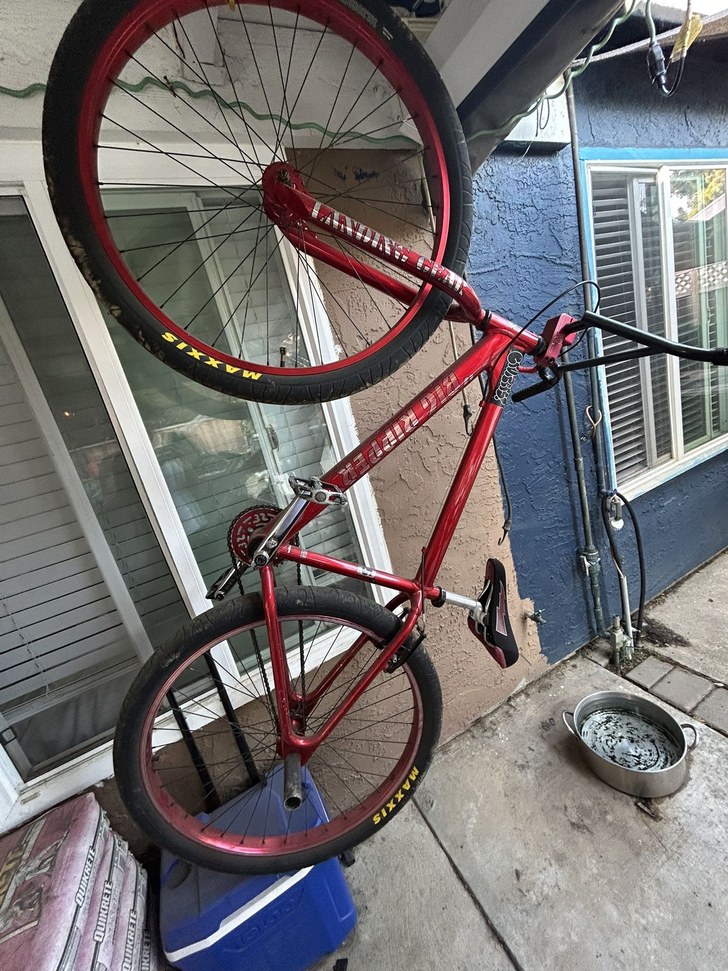 Big Ripper 29 Inch