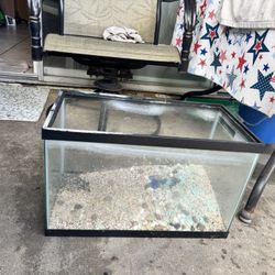 10 Gallon Fish Tank