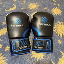 14 OZ Boxing Gloves
