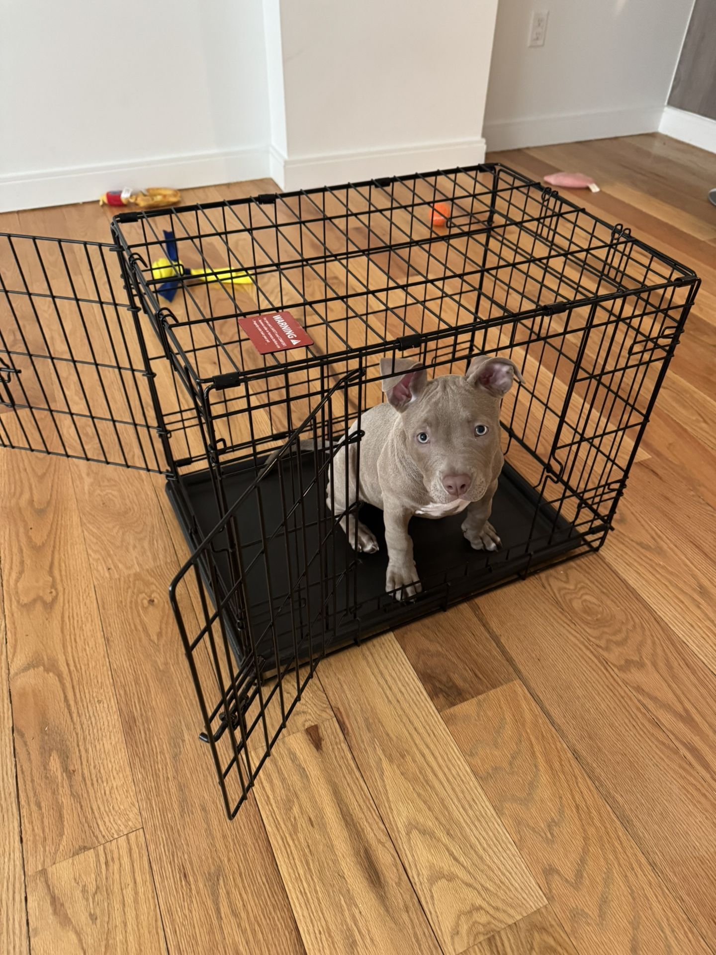 Dog Cage