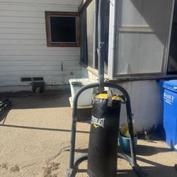 Everlast Punching Bag