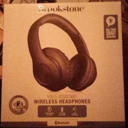 Brookstone Wireless Headphones 