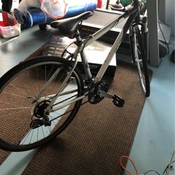 Gary Fisher Bike Gray