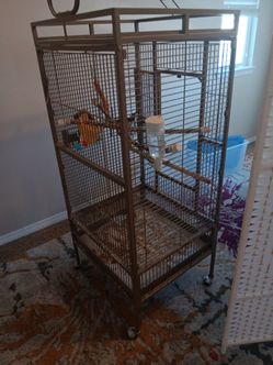Bird cagge