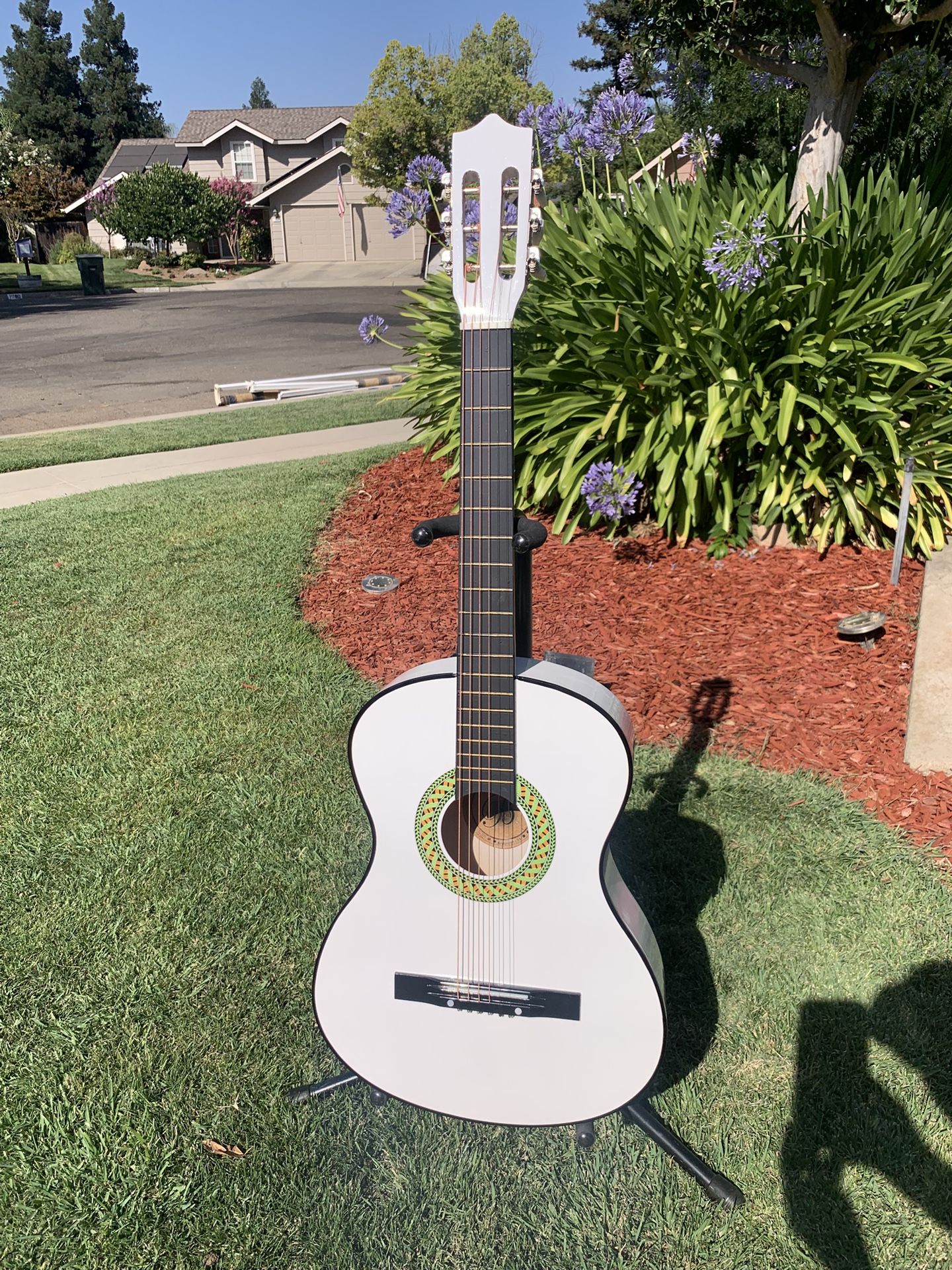 Brand New Guitar