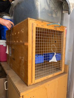 Airplane dog crate