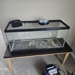Aquarium And Table