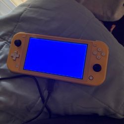 Nintendo Switch Lite Read Description