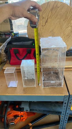 Tarantula cages