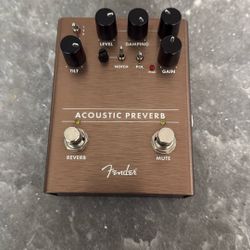 Fender Acoustic Preverb