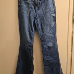 American Eagle Pants 