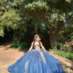 Quince Dress W/ Crinoline Included 