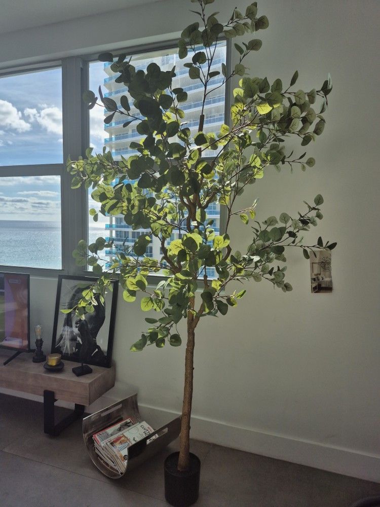 7ft. Gorgeous Indoor /Outdoor Tree. .(New)