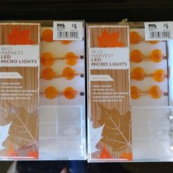 Fall led micro lights