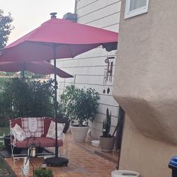 Patio Umbrella