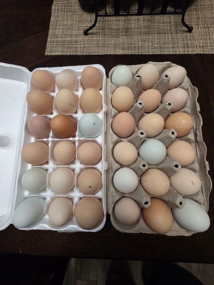 Fresh Farm Eggs - Unwashed
