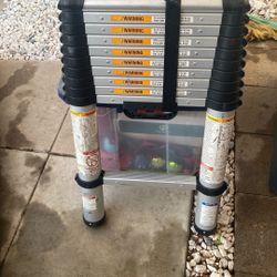 10.8 Ft Ladder For Sale 