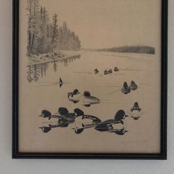 Alaskan ducks