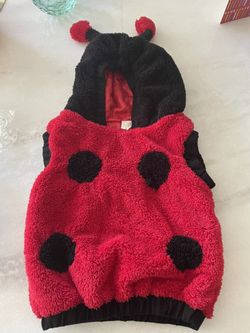 Lady Bug Costume Toddler Size 