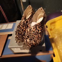 Ladies Shoes 