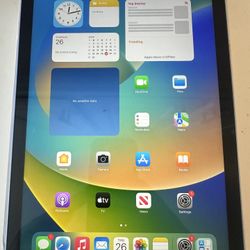 Ipad 10 blue 