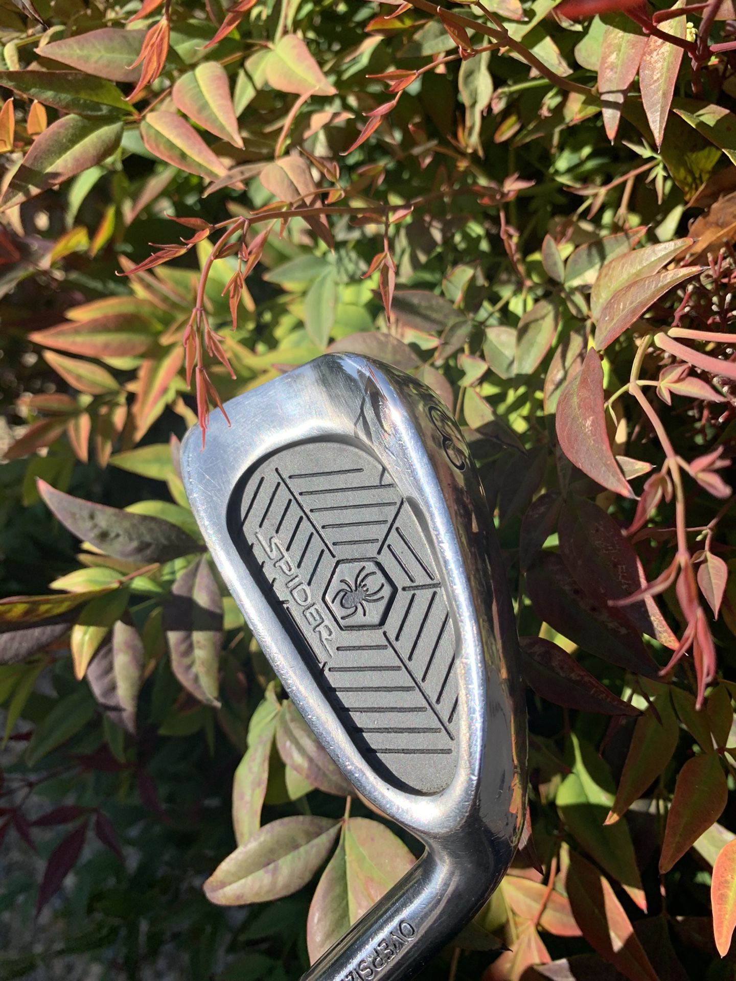 Rare Set Of Spider Irons