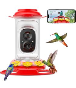 Hummingbird Feeder With Camera