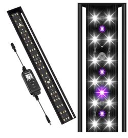 UVB Light for Reptiles