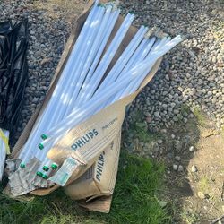 FREE Fluorescent Lightbulbs - Central Point