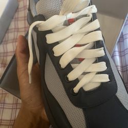 Navy blue Prada american cups