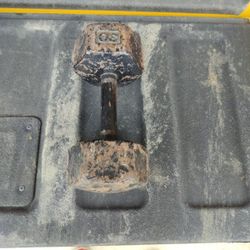 30 Pound Dumbbell Only 1 