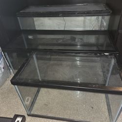 Reptile Tanks