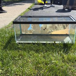 Reptile enclosure