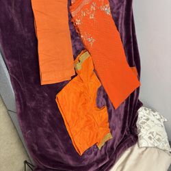 Woly Orange Saree Dilla Work On It