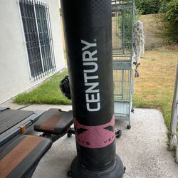 Punching Bag