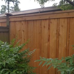 Fence $.cedar 
