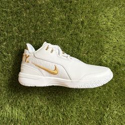 Nike LeBron NXXT Gen AMPD “Equity”