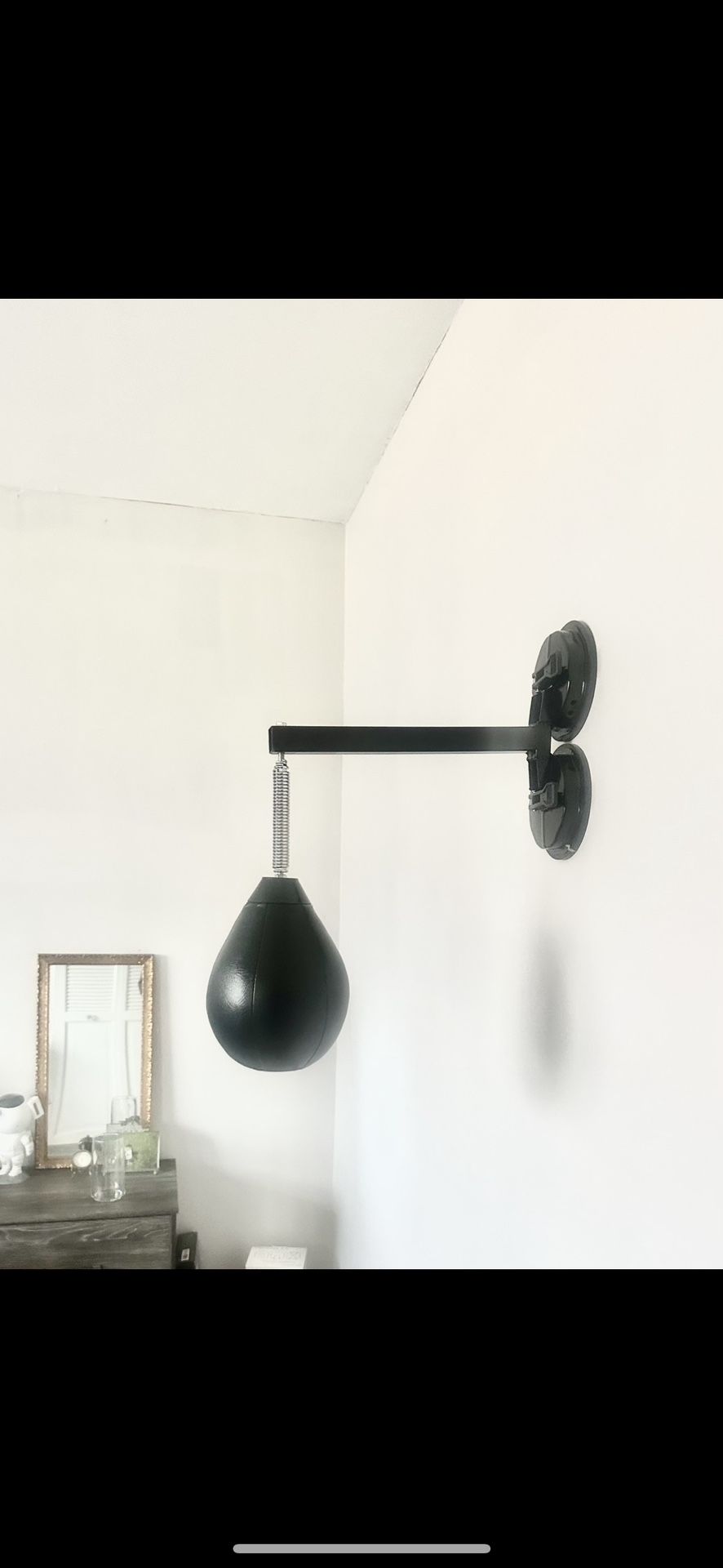 Speed Punching Bag 