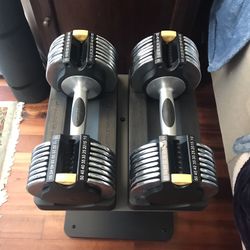Gold's gym switch plate 100 for sale sale
