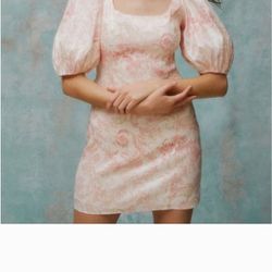 Laura Ashley + Urban Outfitter Mel Puff Sleeve Dress Size M, NWT
