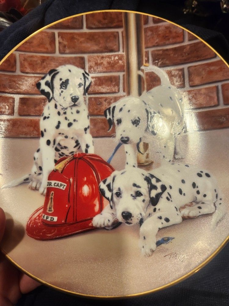 Dalmatian Collector Plates