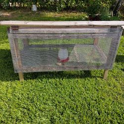 Chicken/Rabbit/Iguana Cage Coop