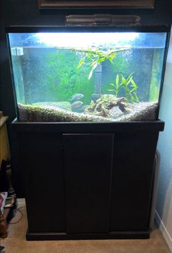 26 gallon fish tank aquarium