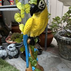 Garden Decorations