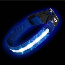Brand New     PetIsay Light Up Collar - High Visibility & Durable Nylon Material - USB C Rechargeable & Waterproof LED Dog Collar for Night Walking, G