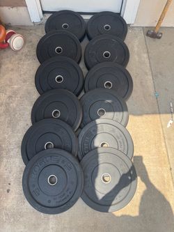 ROGUE BUMPER PLATES BY HI-TEMP WEIGHTS  350lbs total