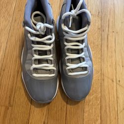 Jordan 11 (Cool Grey)